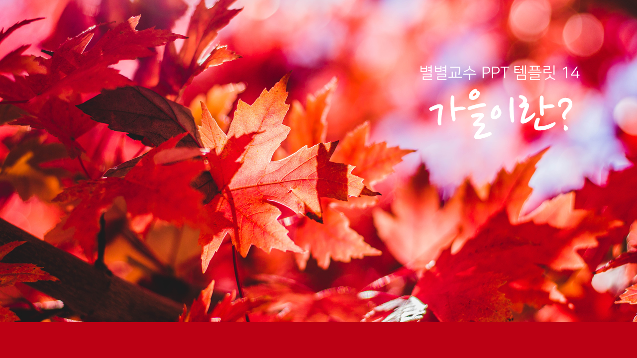 PPT 템플릿 14 가을 테마 미리보기