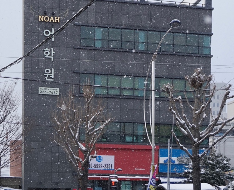 노아어학원